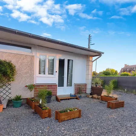 La Nouvelle P'tite Chouette Illuminee 2025 Ménilles