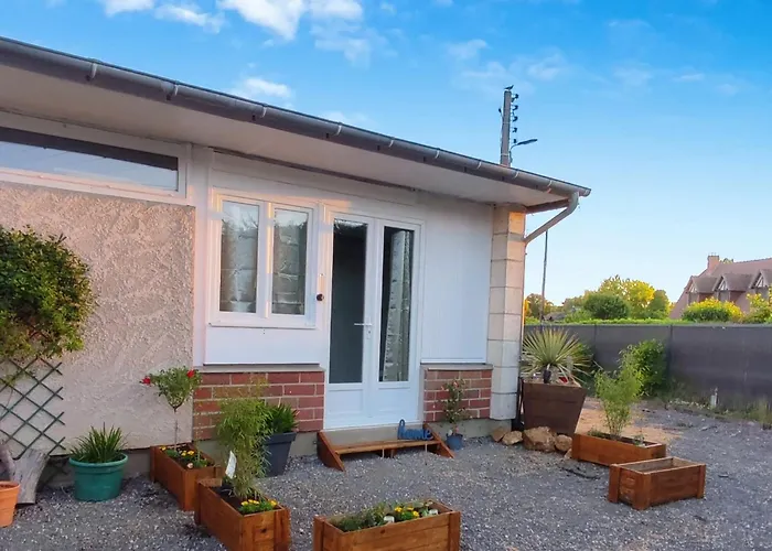 La Nouvelle P'tite Chouette Illuminee 2025 Menilles